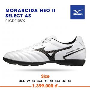 MONARCIDA NEO II S...